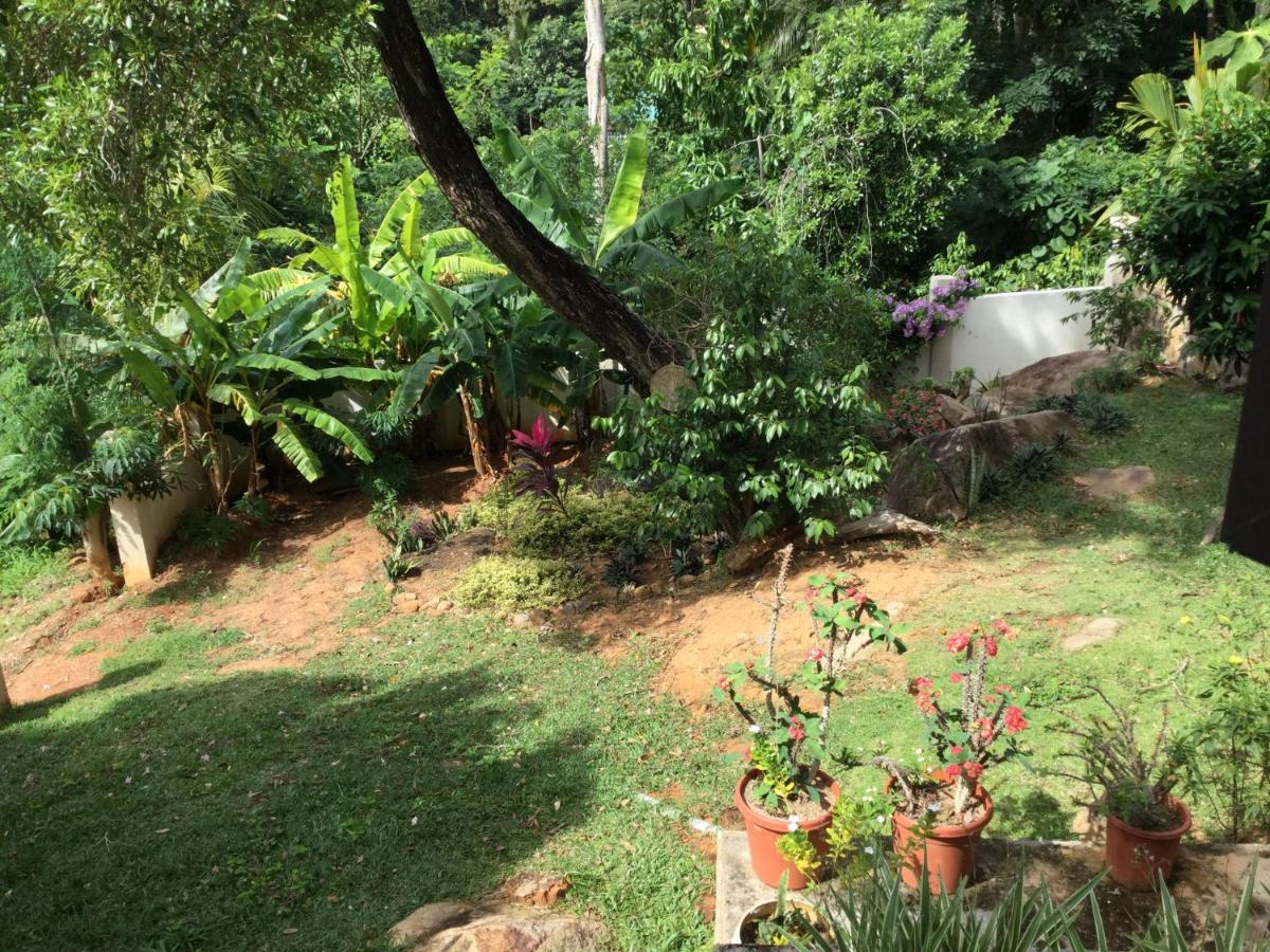 Bougainvillas Seychelles 安塞罗亚莱 外观 照片