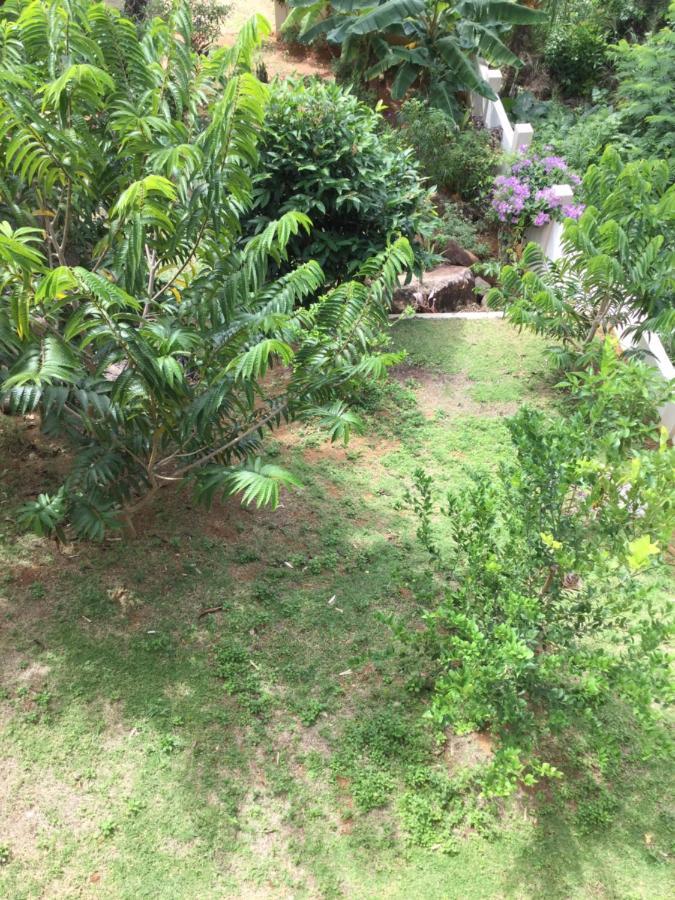 Bougainvillas Seychelles 安塞罗亚莱 外观 照片