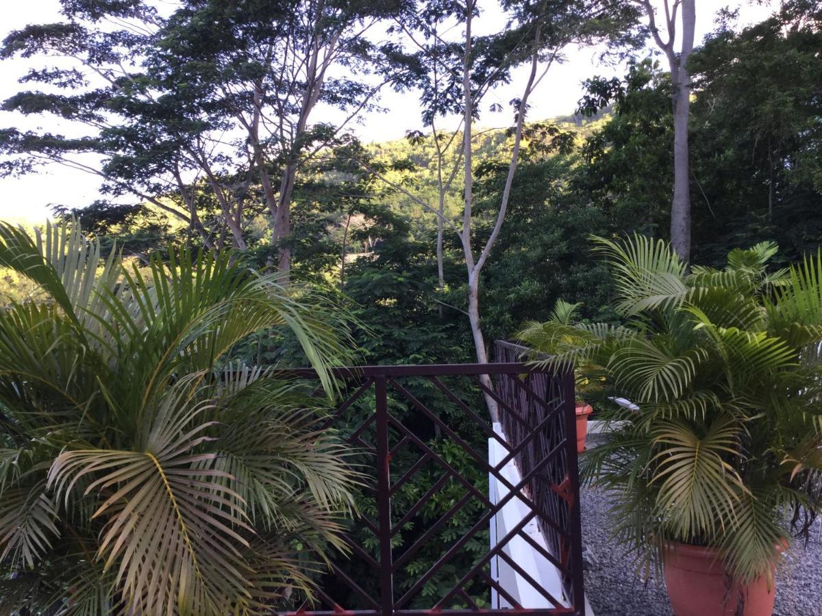 Bougainvillas Seychelles 安塞罗亚莱 外观 照片