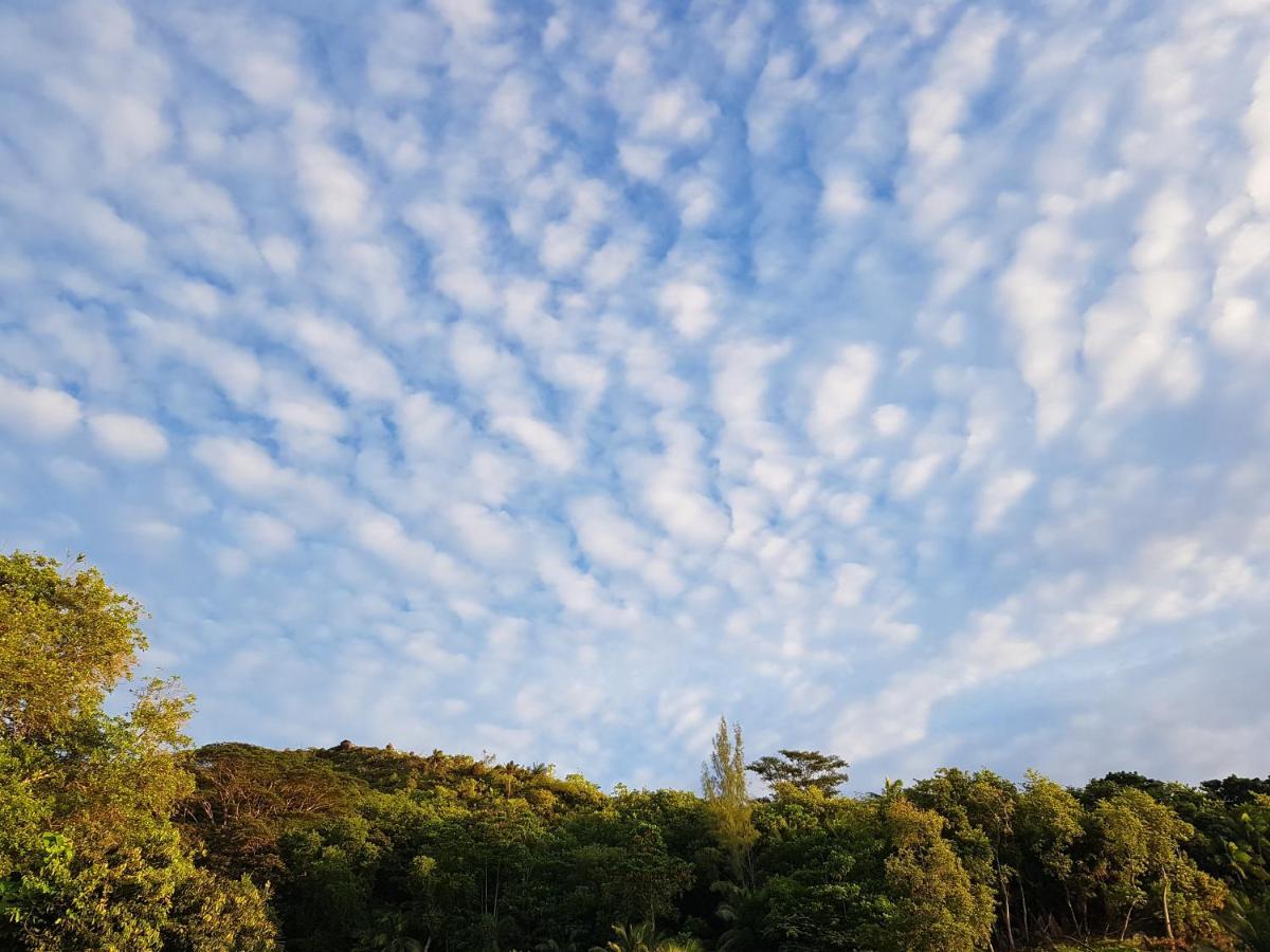 Bougainvillas Seychelles 安塞罗亚莱 外观 照片
