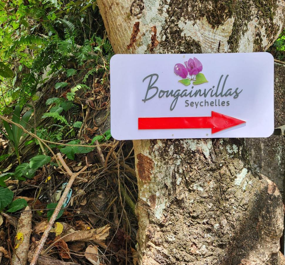 Bougainvillas Seychelles 安塞罗亚莱 外观 照片