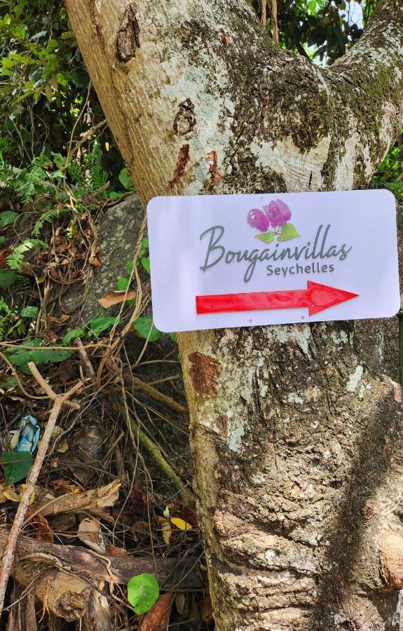 Bougainvillas Seychelles 安塞罗亚莱 外观 照片